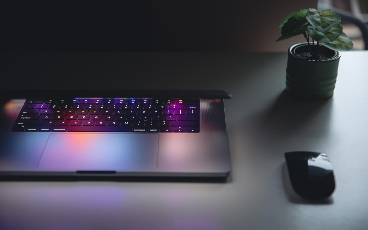 laptop and computer mouse